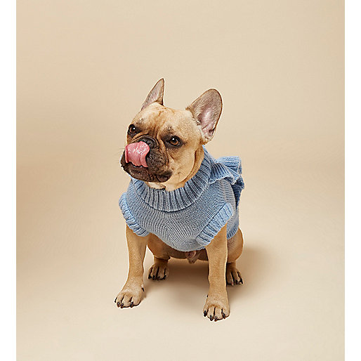 jacques-vertuk Blue RI Dog frill sweater 707119 women Dog Clothing & Accessories
