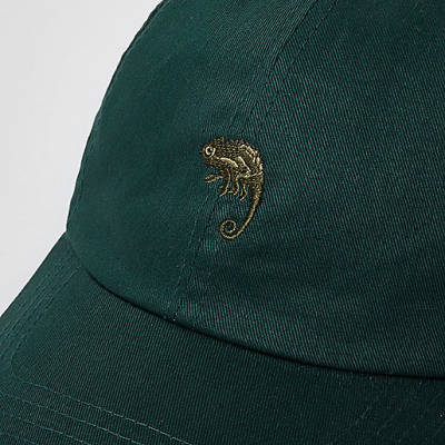 white river island handbag,jacques-vertuk Check Stock Green chameleon baseball cap Hats Accessories men white river island handbag,jacques-vertuk Check Stock Green chameleon baseball cap Hats Accessories men